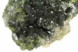 Lustrous, Epidote Crystal Cluster on Actinolite - Pakistan #164846-3